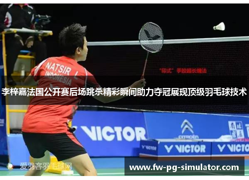 李梓嘉法国公开赛后场跳杀精彩瞬间助力夺冠展现顶级羽毛球技术