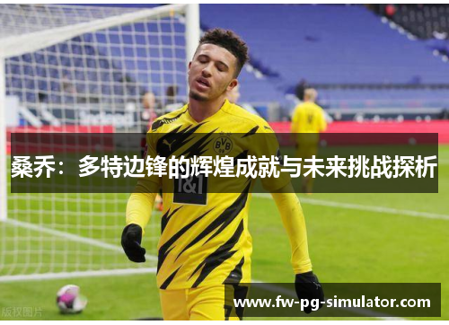 桑乔：多特边锋的辉煌成就与未来挑战探析