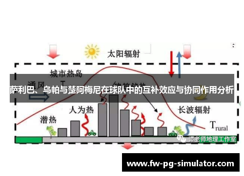 萨利巴、乌帕与楚阿梅尼在球队中的互补效应与协同作用分析