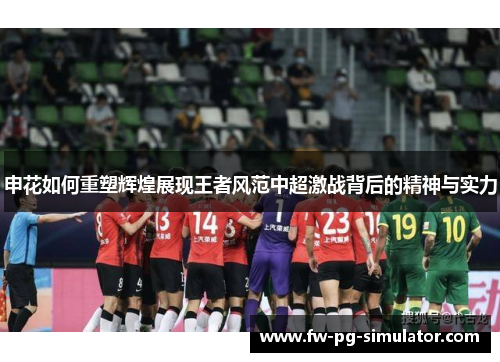 申花如何重塑辉煌展现王者风范中超激战背后的精神与实力